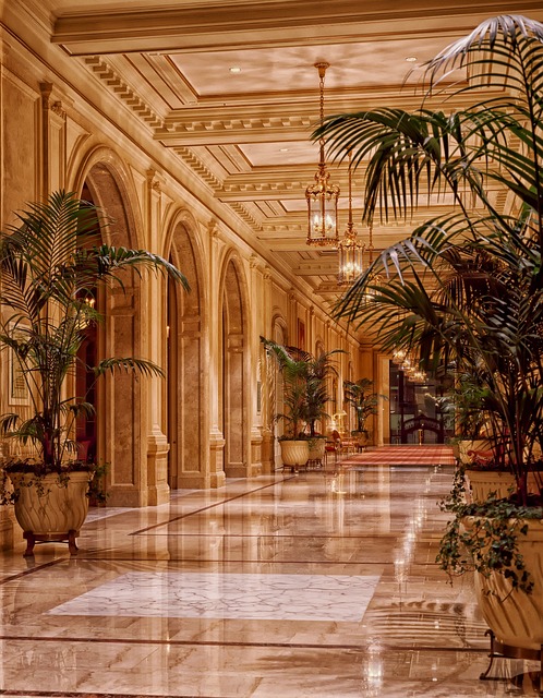 What Should a Hotel Lobby Have？